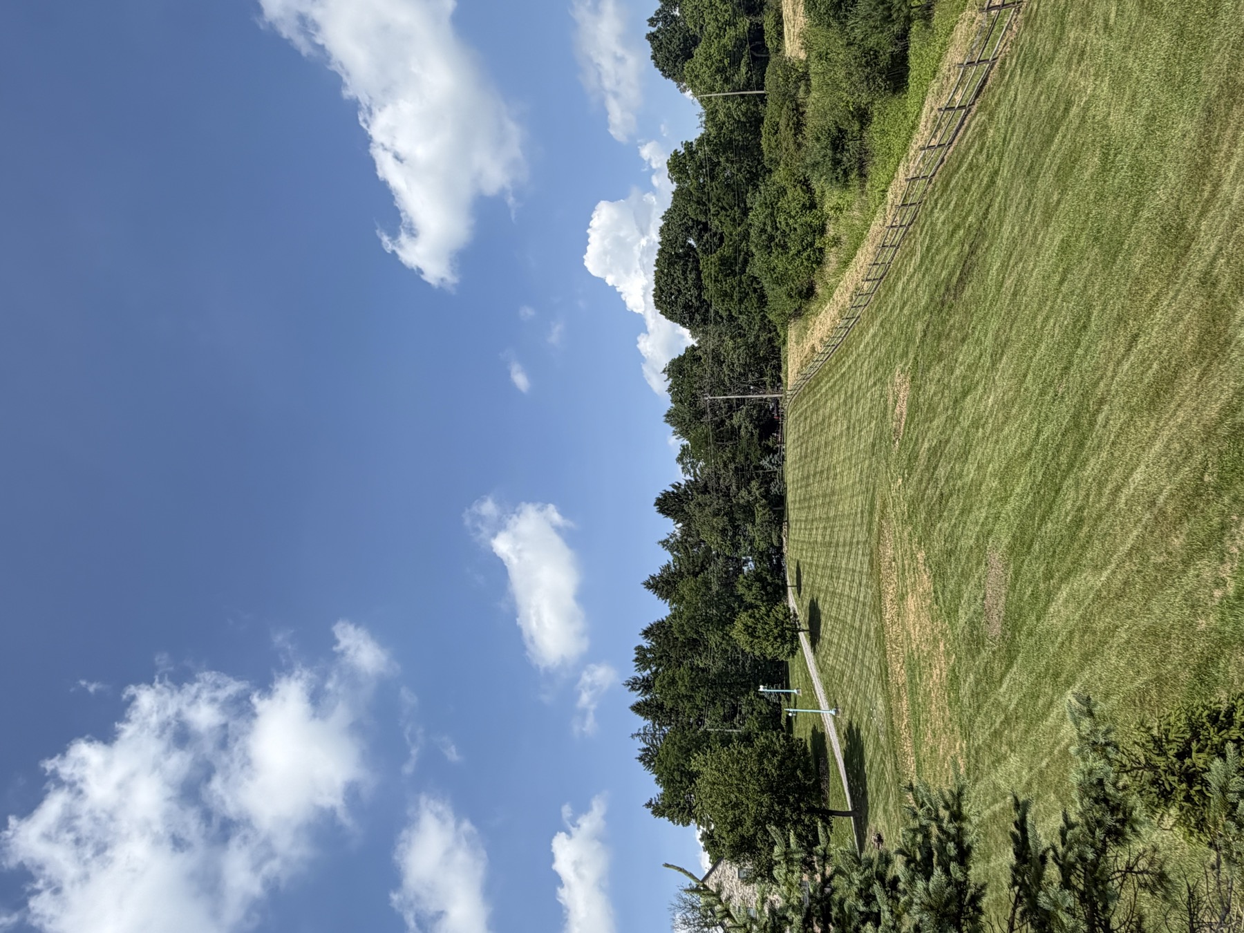 Maintained lawn on rolling terrain