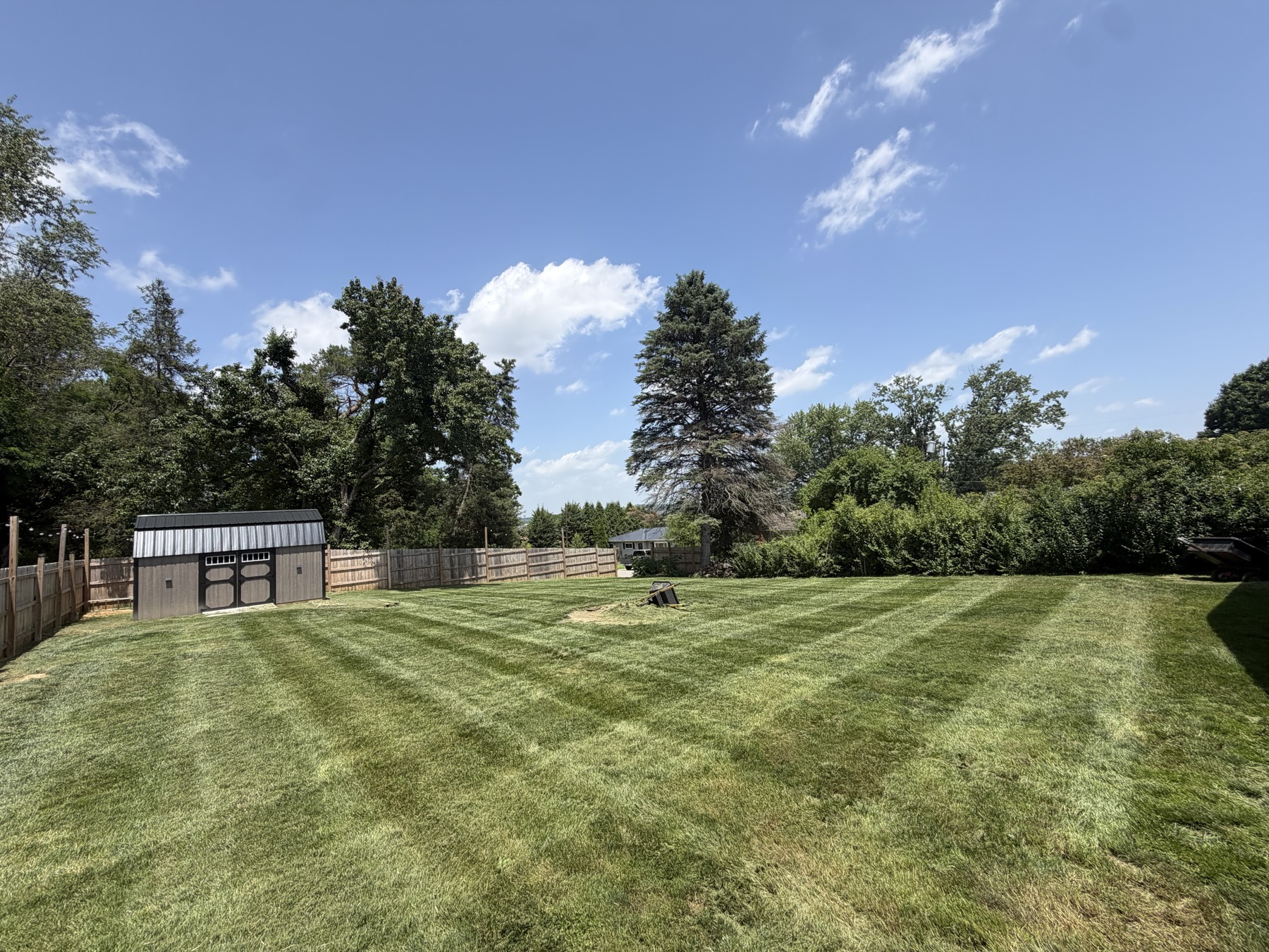 Freshly mowed backyard